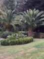 /album/fotogaleria-la-casona-de-soto-iruz/img-0077-jpg/